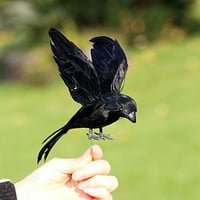 Xinwanna изкуствена врана пернат реалистично ръчно изработена стояща летяща пяна домашна градина декорация мини Хелоуин орнамент симулация на животни черна птица за двора