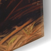Епично изкуство „горски бижута“ от Барбара Кийт, акрилно стъкло стена, 16 x24