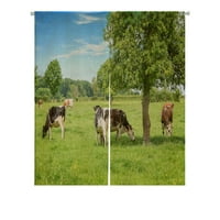 Норман черно -бели крави, пасящи на тревисто зелено поле Японски норен завеса за вратата на вратата на вратата на вратата