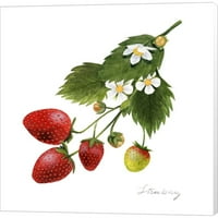 Great Art Now Strawberry Study II от Grace Popp, Canvas Wall Art, 12W 12H