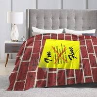 Douzhe Ultra-Soft Micro Fleece Lightweight Flannel Bed Bendet, добре съм след печат уютно одеяла за топло хвърляне, 50 x40