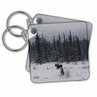 3Drose Moose крава и телета, ядещи зимни клони в снежното поле - ключови вериги, 2. от, набор от 2