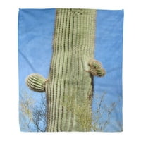 Flannel хвърляне на одеяло синьо saguaro кактус carnegiea gigantea нови ръце, отглеждащи зелени меки за диван и диван в леглото